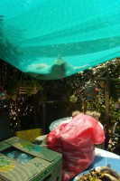 /album/bildgalleri/laguna-verde23-jpg/